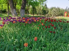 -永定河休闲森林公园