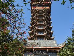 -塔子山公园