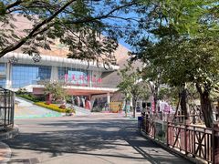 -灵玲国际马戏城