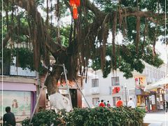 -鼓浪屿牌馅饼(博物馆店)