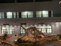 -自贡恐龙博物馆