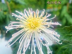 -南山植物园