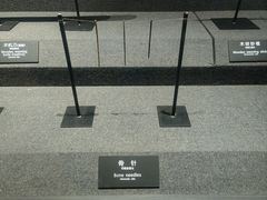 -河姆渡遗址博物馆
