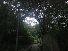 -黄葛古道