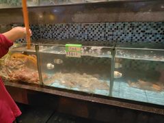 -鹏城人家海鲜酒家·23年老字号(较场尾店)
