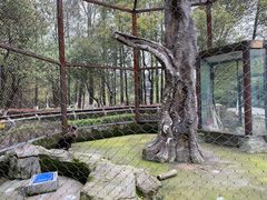 -南昌动物园