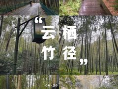 -云栖竹径