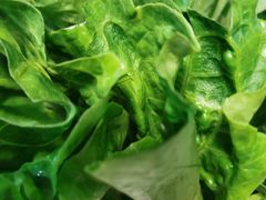 -福合诚潮汕牛肉火锅(西丽分店)