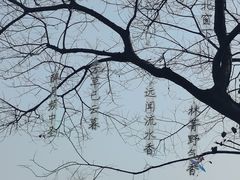 -衣裳街历史文化街区