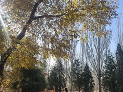 -乌素图国家森林公园