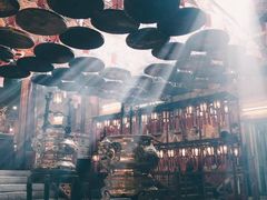 -呼兰河口湿地公园