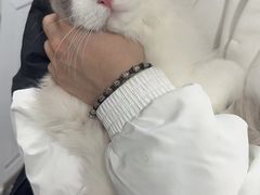 -萌兽医馆·眼科·异宠专科(三里屯店)