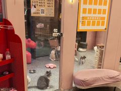 -囡的喵喵酱·萌宠生活馆·宠物洗护美容(胶州路店)