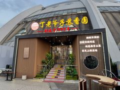 -丁老爷子苏香圆