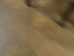 -南洋老咖啡(牛车水店)
