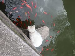 -苏州文旅花间堂·探花府酒店