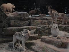 -武汉园博园(武汉自然博物馆)