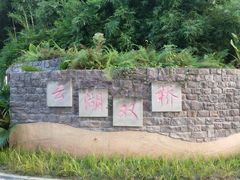 -重庆彩云湖湿地公园