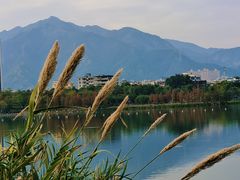 -飞来湖湿地公园