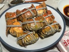 -杨氏青龙虾·羊蝎子(金盛路总店)