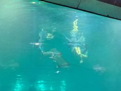 -福州罗源湾海洋世界旅游区