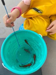 点击看大图 -奈尔宝家庭中心·亲子餐厅(宝安店)