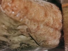 -璐坊粽王(复兴中路店)