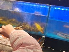 -苏格里岛自助烤肉海鲜火锅(成都金牛万达店)
