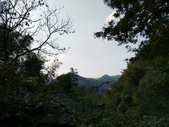 -藏龙百瀑风景区