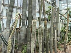 -郑州植物园