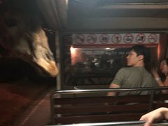-清迈夜间动物园