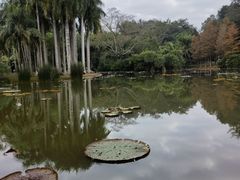 -中国科学院西双版纳热带植物园