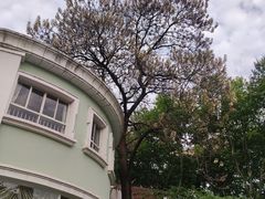-上海市徐汇区汇星幼儿园(北园)