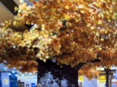 -青水瓦台汤泉(未央店)