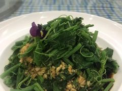 -朝郡酒家·粤菜(燕大星苑店)