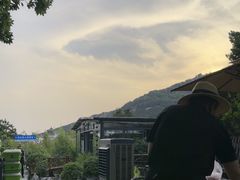 -蘇河湾·新鲁菜·泰山宴(泰山店)
