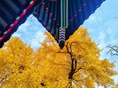 -承恩寺