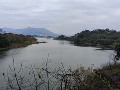 -福建鲤鱼洲酒店