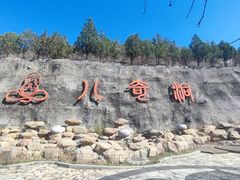 -八奇洞景区