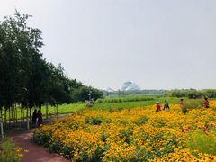 -哈尔滨大剧院