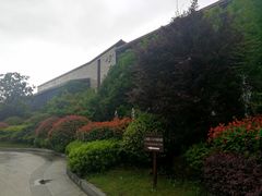 -上海崇明金茂凯悦酒店