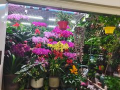 -三旗百汇商品城