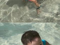 -重庆海昌加勒比海水世界