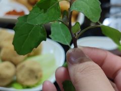 -黔府豆米火锅野菜馆(南马店)