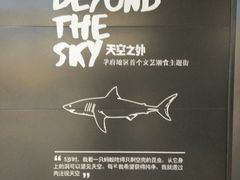 -凯德广场(学府店)