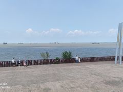 -上海滨江森林公园
