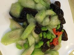 兴圆苑-兴圆苑