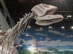 -自贡恐龙博物馆