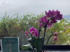 -湖畔居茶楼(湖滨店)