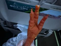 -沟帮子熏鸡(喜来登店)